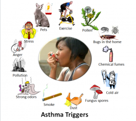 Tìm hiểu các yếu tố kích hoạt bệnh hen và nguyên nhân gây hen suyễn